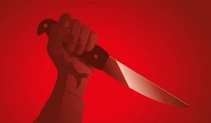 Palwal: Woman stabs army husband in domestic dispute