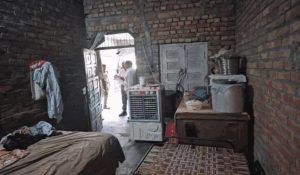 Tragic death in Haryana: Woman killed amidst illness