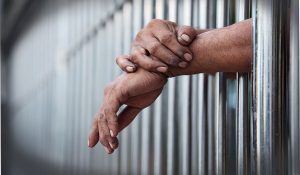 Bank employee in Bhiwani arrested in major fraud investigation