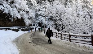 Himachal: Weather will change due to Western Disturbance; rain and snowfall expected