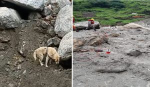 Even after three days, no trace of the 45 missing people in Himachal floods