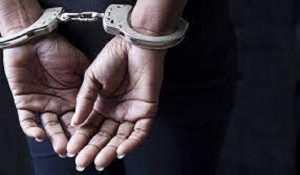 Chandigarh Immigration firm owner arrested for Rs 1.65 core fraud: 7 cases filed, white scorpio seized