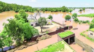 Erratic rainfall pattern due to Climate Change caused flooding in Punjab last year: PAU Study