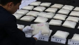 Operation Neelkanth: Drugs valued at Rs 1.35 crore seized in Rajasthan’s Nagaur