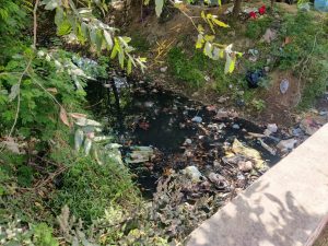Illegal restaurants, bars, tavern pollute environment; NGT directs action on complaint in 3 months