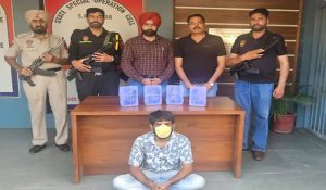 State special operation cell cracksdown on arms smuggling in Mohali: One arrested, four illegal pistols seized