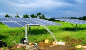 Farmers tubewell motor stolen in Bhiwani district: Police launch investigation