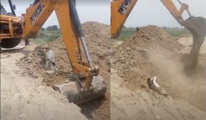 Irrigation department removes unauthorized pipes on Yamuna embankment to prevent flood damage