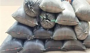 Fatehabad police bust opium smuggling ring: 2 arrestes with drugs, values at Rs 20 lakh