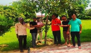 Rakshabandhan in Bhiwani: Resident tie Raksha Sutra to trees, pledge to safeguard the environment