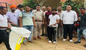 Bhiwani: Chaos erupts Bhiwani Police station as cobra slithers in