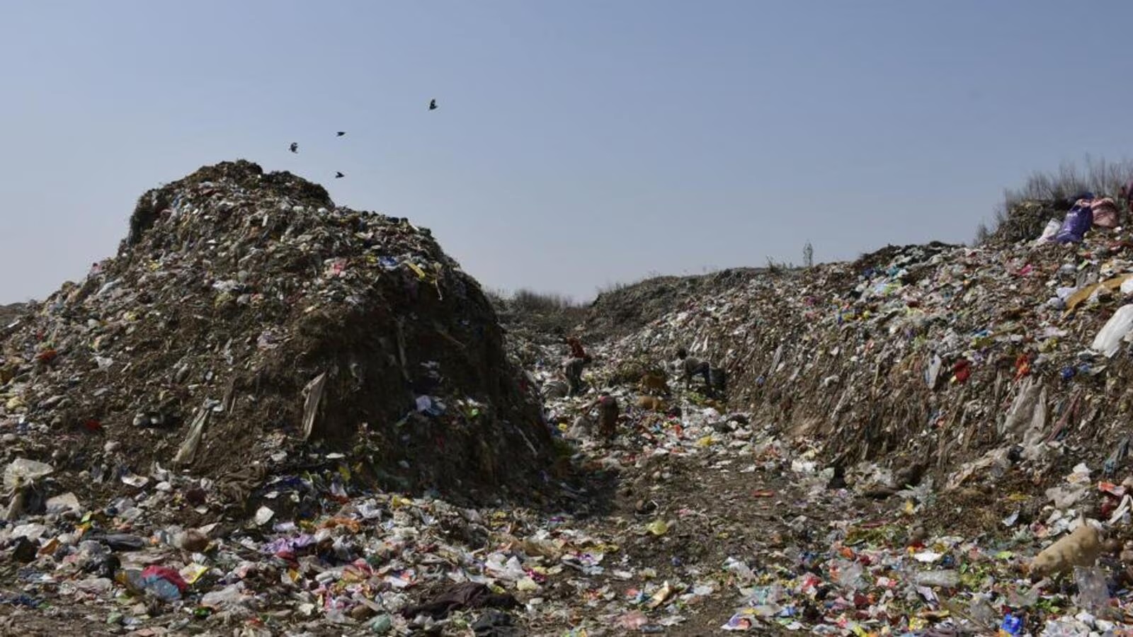 Big Breaking:-NGT imposes Rs 1026 crores Fine on Punjab Government