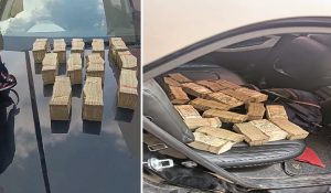Election Code Of Conduct: Haryana Static Surveillance Team Caught fifty Lakh Cash from a car