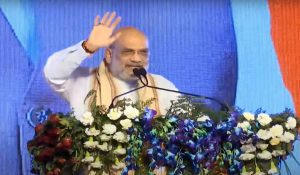 Congress insults Dalit leaders like Selja, says Amit Shah in Haryana