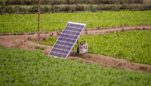 Solar Panel controller stolen from farm in Hisar; case filed against unknown person