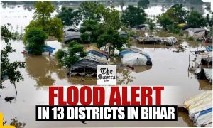 Bihar Flood: High Alert In Bihar After Flood-Hit Nepal Releases Water; Dams, Rivers overflow