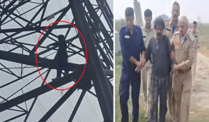 Man climbs high-tension pole in Delhi, demands talks with PM, CM, Chief Justice