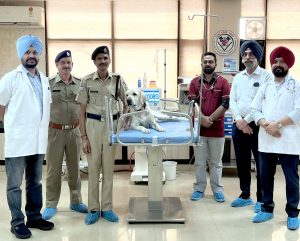 RPF explosive detection dog ‘Anex’ recovers after life-saving dialysis