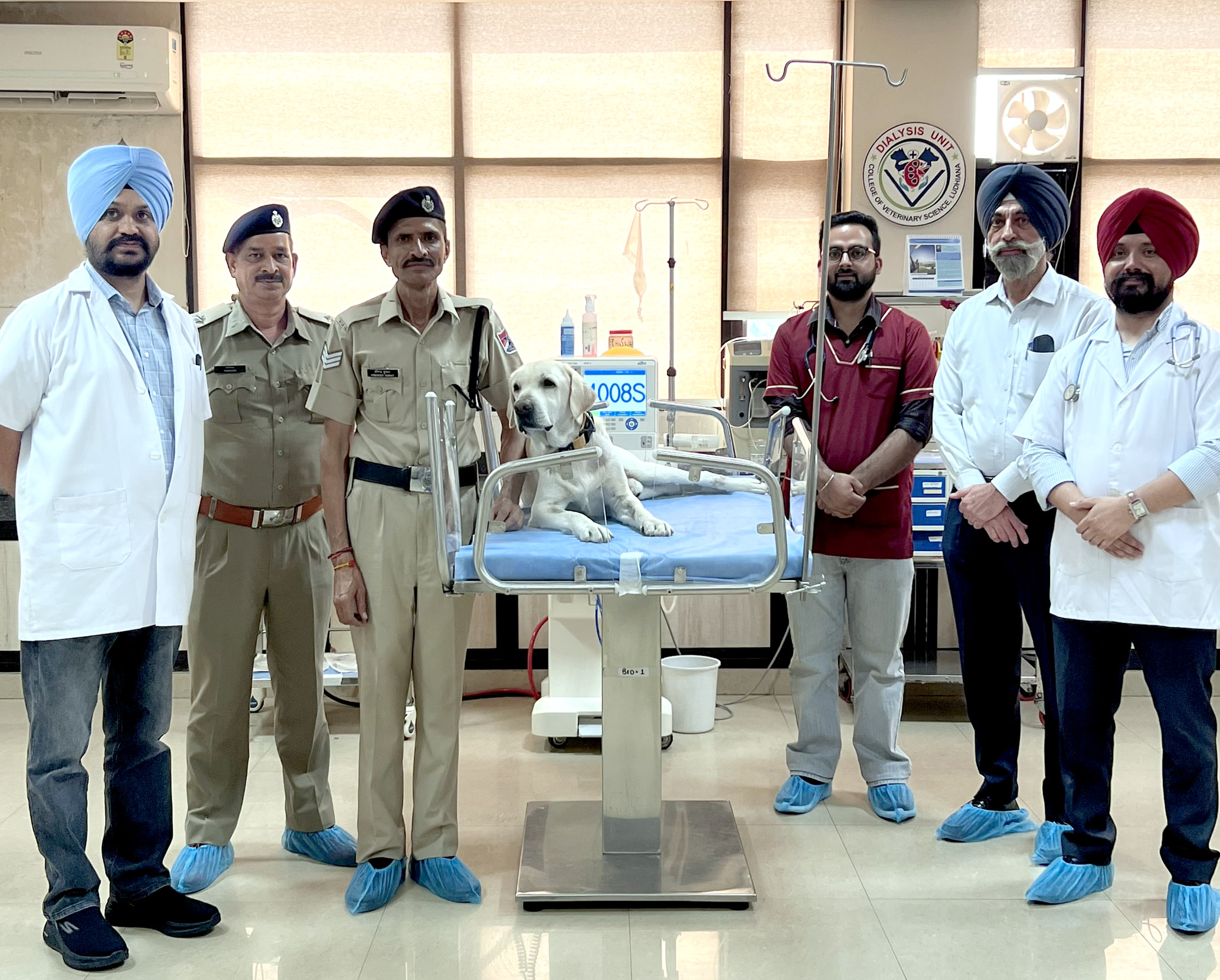 RPF explosive detection dog ‘Anex’ recovers after life-saving dialysis