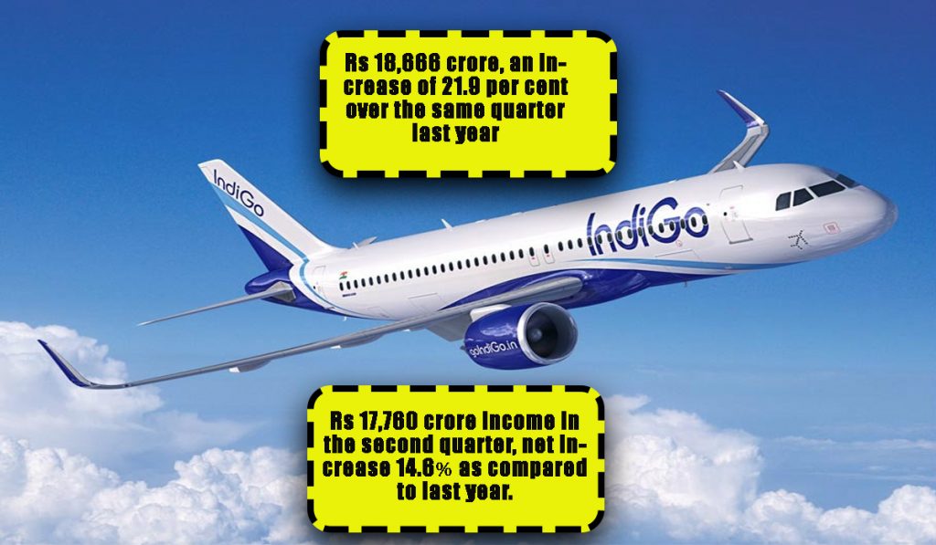 Indigo Airlines Loss