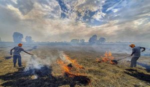 FIR against 2 farmers for burning stubble in Rohtak; Location found from Harsac