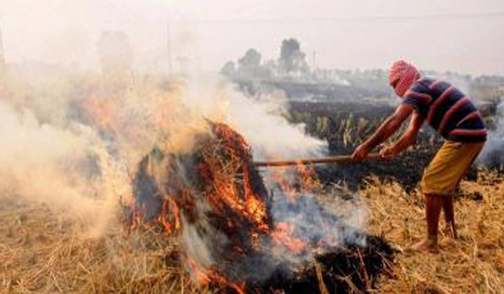 Stubble Burning