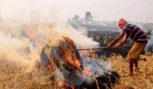 Attack on Agriculture Department officer in Panipat, had gone to stop burning of crop residue