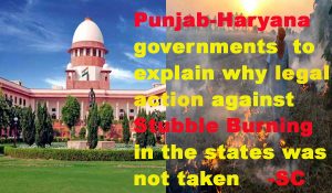‘Attitude of complete Defiance’: SC raps Punjab, Haryana over stubble burning, summons CSs on next hearing