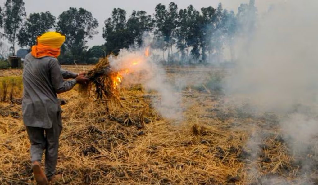 Stubble Burning Punjab