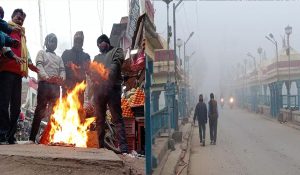 Temp dips in Haryana: Fog alert in 7 districts; Timings of government offices changed in Faridabad