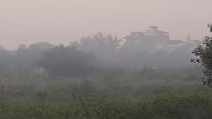 Punjab Weather: Fog alert as visibility less than 50 meters, AQI persists in poor category in Chandigarh