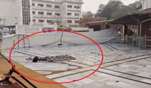 Woman jump from 7th floor and suicide in Golden Temple Premises