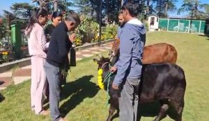 Himachal CM Sukhu performs Govardhan Puja at his residence, prays for peace, prosperity of people