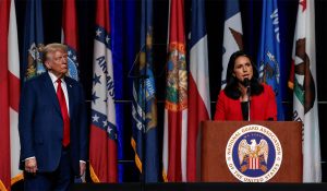 Who is Tulsi Gabbard? All about first Hindu US Congresswoman appointed as DNI by Trump