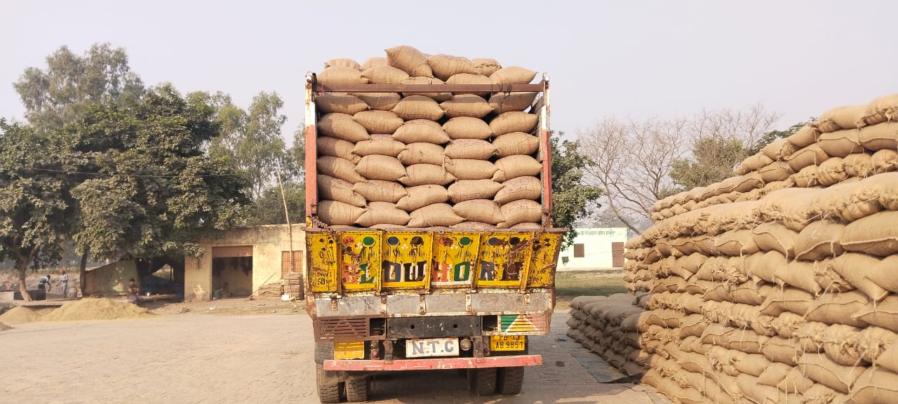 Paddy Sacks Loaded Truck In Jalandhar Mandi