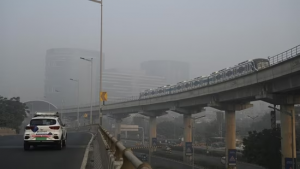 Haryana: Primary classes suspended in Panipat, Sonepat, Rohtak