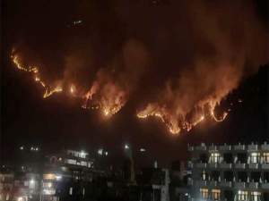 Fire breaks out in forest of Bada Bhuin Panchayat of Kullu