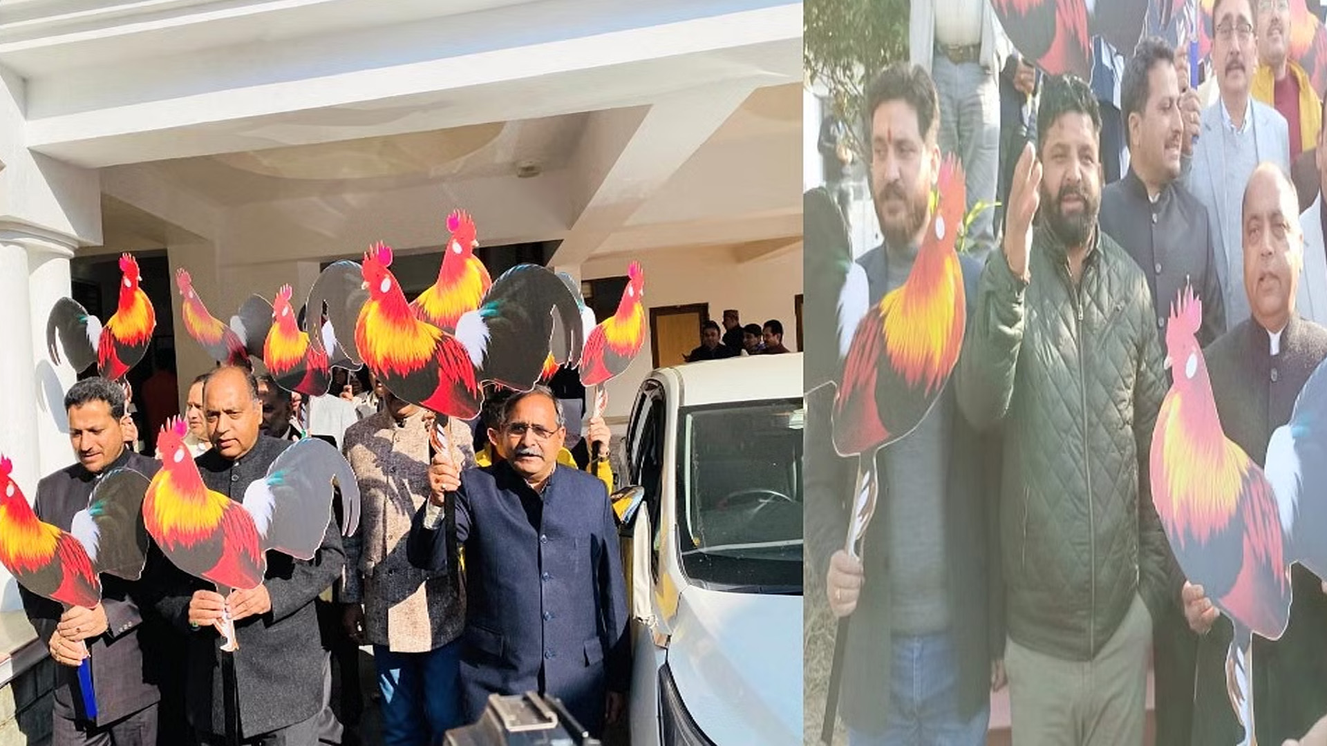 Wild Chicken case: Opposition reached the assembly with chicken posters in their hands, raised slogans against