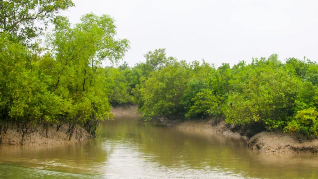 Illegal Bangladeshis use remote Sundarban islands for entering Bengal