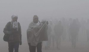 Severe Cold Wave in Uttar Pradesh: Schools Shut, Fog Hits Trains and Flights