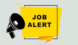 Recruitment in Haryana Electricity Corporation: New CET will provide jobs for 6239 posts of Group C-D