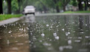 Rain in 6 districts of Punjab: Fog alert in 12, Western disturbance active