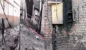 Fire breaks out in Haryana’s yarn factory: 2 employees on night duty burnt alive, 3 injured