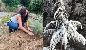 ‘Proud Himachali’ Preity Zinta talks about giving back to ‘mother nature’
