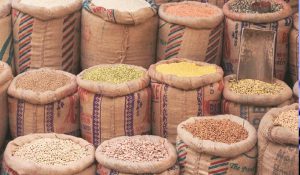 Himachal: Pulses to be available in fair price shops, 1.60 lakh quintal stock reached godowns