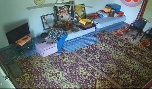 Cash stolen from ashram in Hisar, incident captured on CCTV