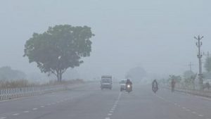 Cold wave alert in Punjab-Chandigarh: Effect of western disturbance, 7 districts record temp less than 5 degrees