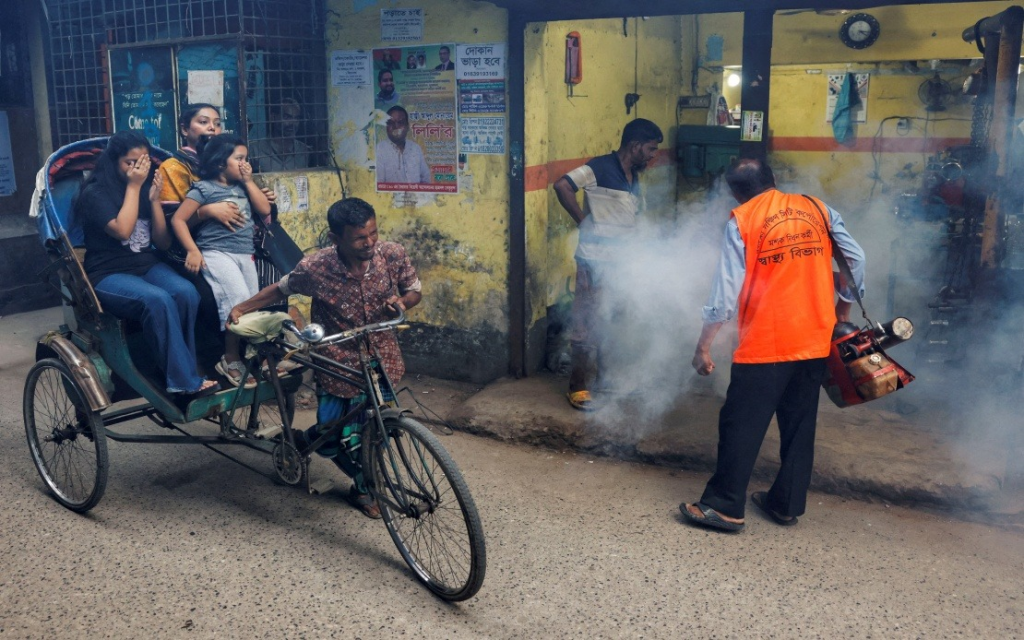 Bangladesh's dengue deaths near 500