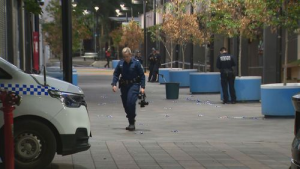 Australia: Two teens arrested over shooting, car fire in Sydney