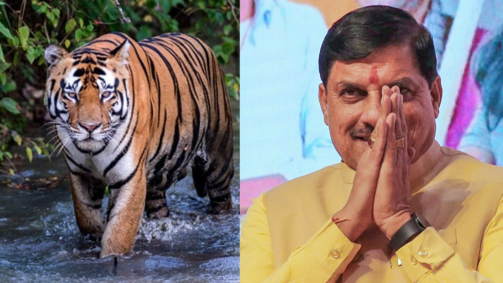 Mohan Yadav inaugurates MP's 8th Ratapani Tiger Reserve